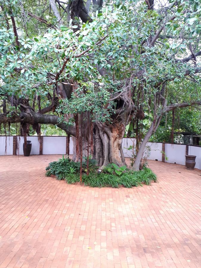 Bush Lovers Lodge Модимолле Экстерьер фото